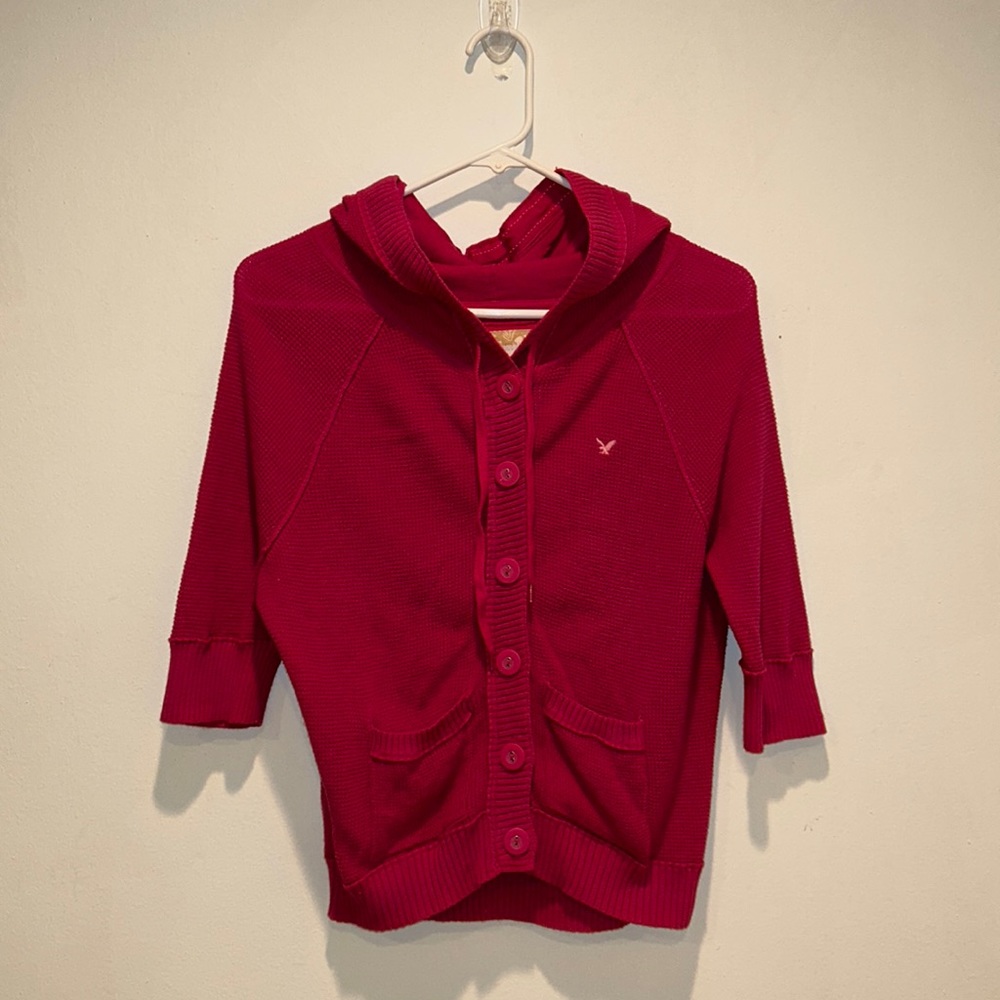 American Eagle Outfitters Knit Hooded Button-up Crop Sweater